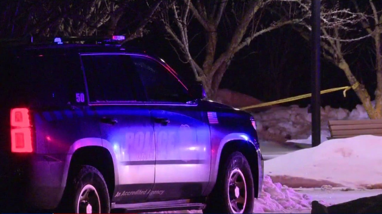 Oakland University stabbing suspects on the run after 1 wounded outside Van Wagoner Hall