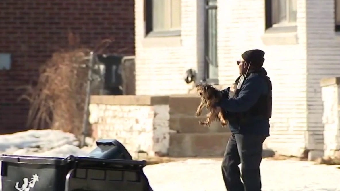 Fosters needed after 41 dogs rescued from Detroit home