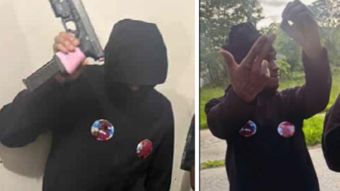 Suspect linked to Detroit shootings allegedly found hiding in doghouse