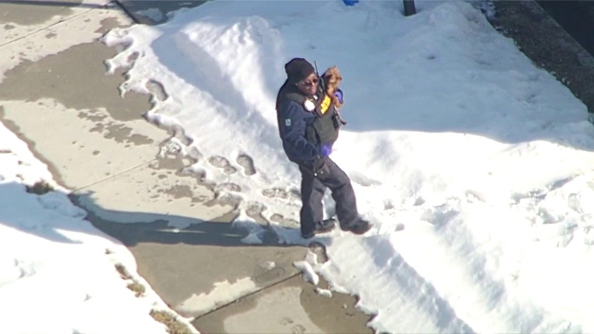 Detroit animal control removes nearly 40 dogs from home in 'deplorable' condition