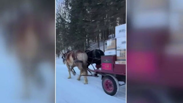 Winter on Mackinac Island: Meet the cookie shop owner showing off winter on the Great Lakes