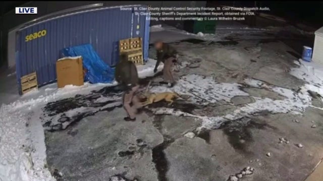 Attorney sues over deadly officer shooting of dog