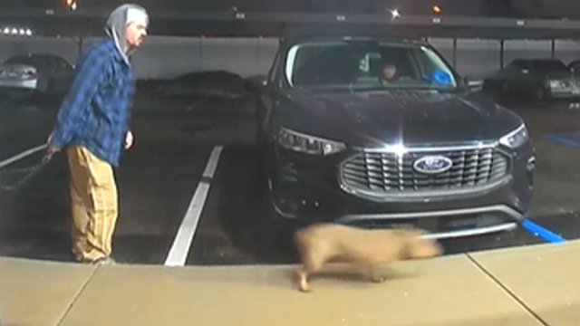 2 dogs removed, charges sought in alleged Sterling Heights animal abuse case caught on doorbell video