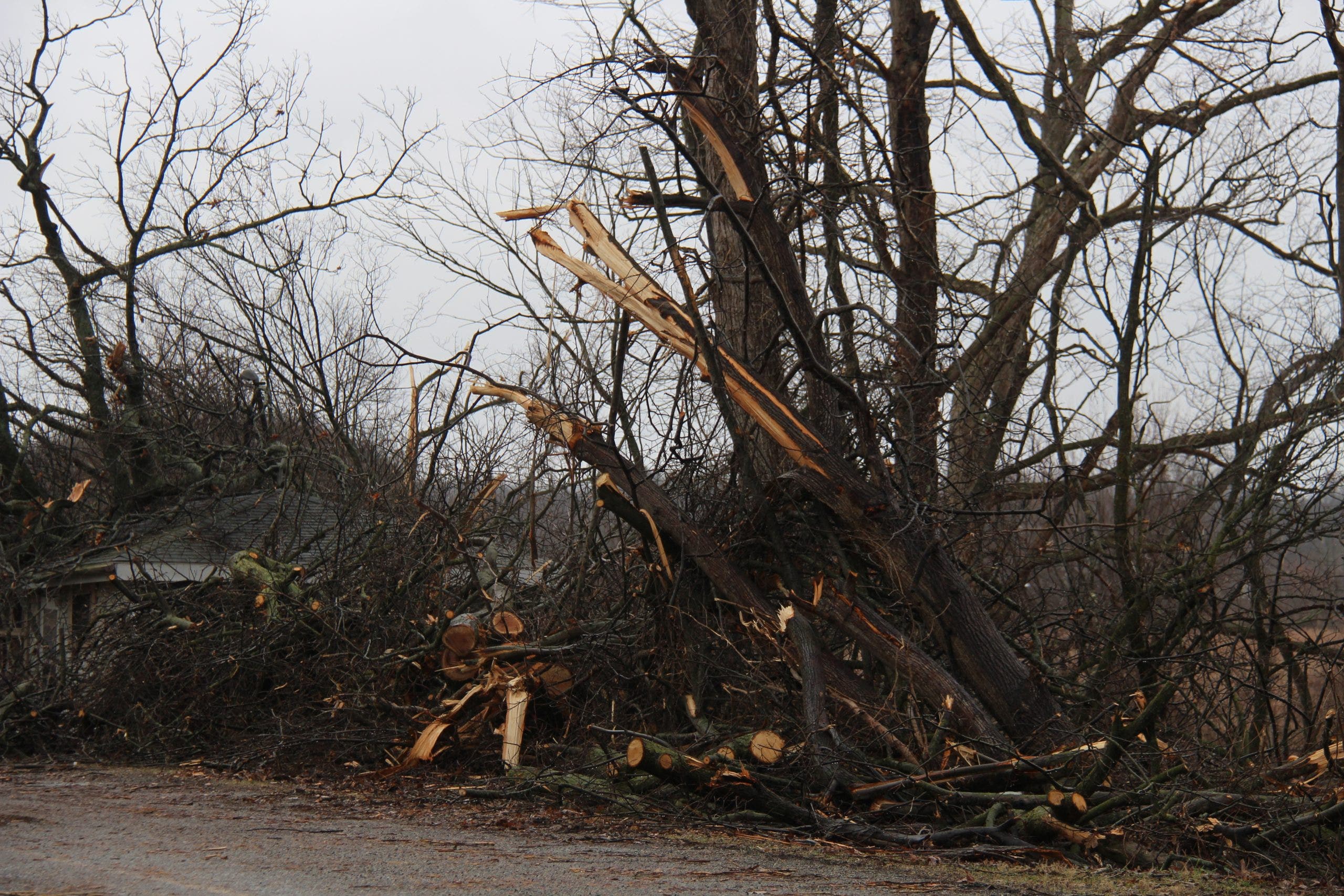 Michigan tornado: Communities recovering in the aftermath of devastating storms