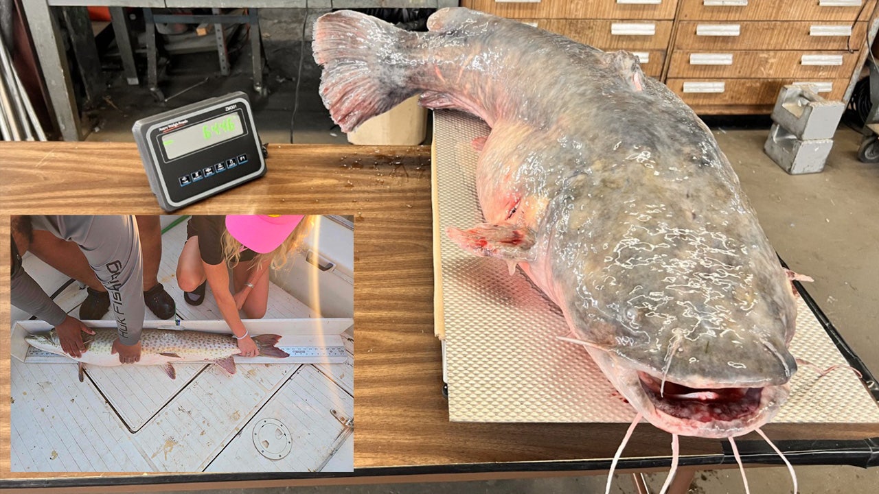 Michigan's Biggest Fish: The 2025 Master Angler report is in