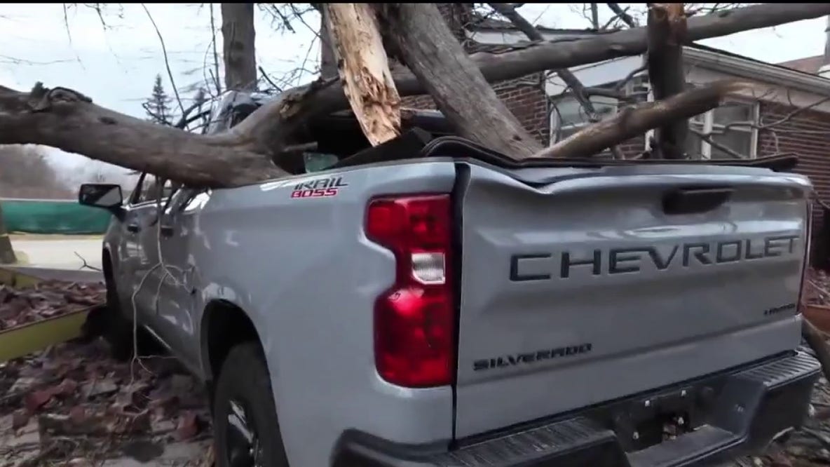 High winds topple tree on Redford home, family opens GoFundMe