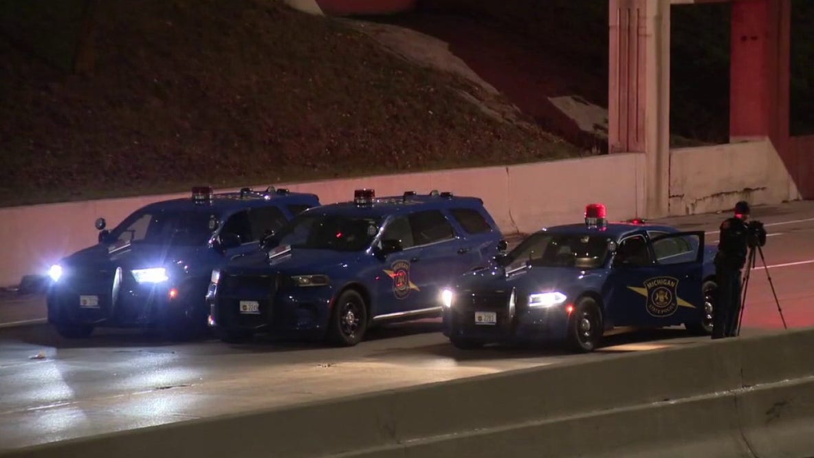 Woman killed by hit-and-run driver on Lodge Freeway in Detroit