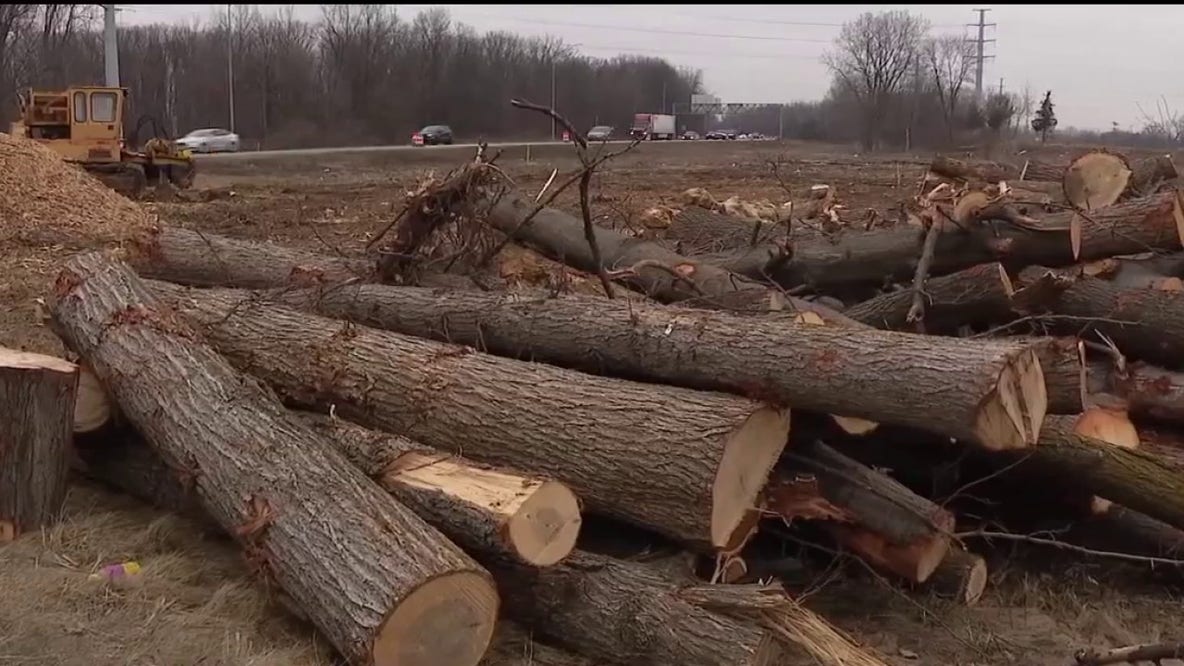 Why Michigan clear-cut forests to rebuild I-94 in Metro Detroit