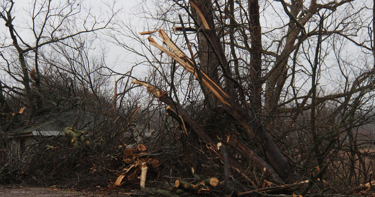 Michigan tornado: Communities recovering in the aftermath of devastating storms