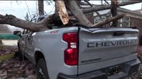 High winds topple tree on Redford home, family opens GoFundMe