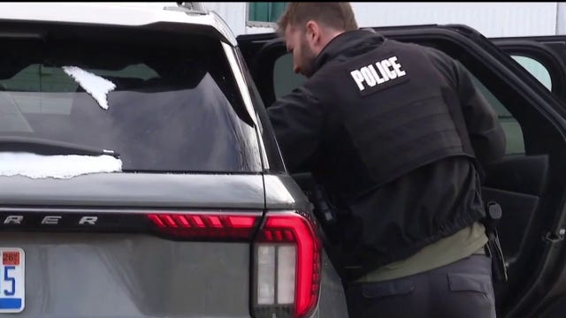 Michigan newborn killed in apparent dog mauling in Novi