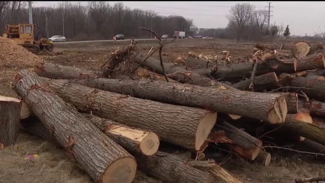 Major I-94 construction is underway - so why were entire forests chopped down