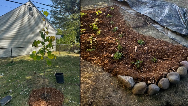 Oakland County's RainSmart Rebates returns to help more residents install rain barrels, gardens, and trees