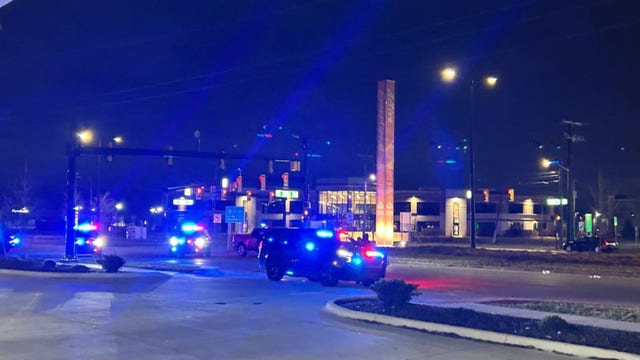Pedestrian hit, killed while trying to cross Van Dyke in Sterling Heights