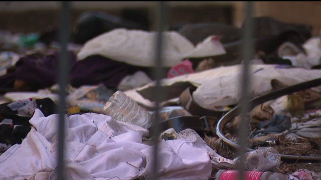 Abandoned Detroit apartment made into illegal dumping ground, cleanup expected