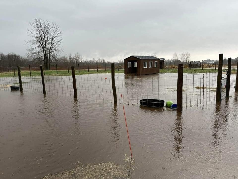 Detroit Animal Welfare Group seeks help after heavy rains lead to roof leak, flooding on Macomb County farm
