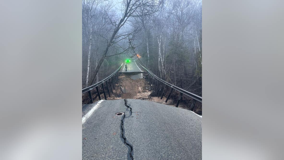 Part of northern Michigan's Tunnel of Trees collapses