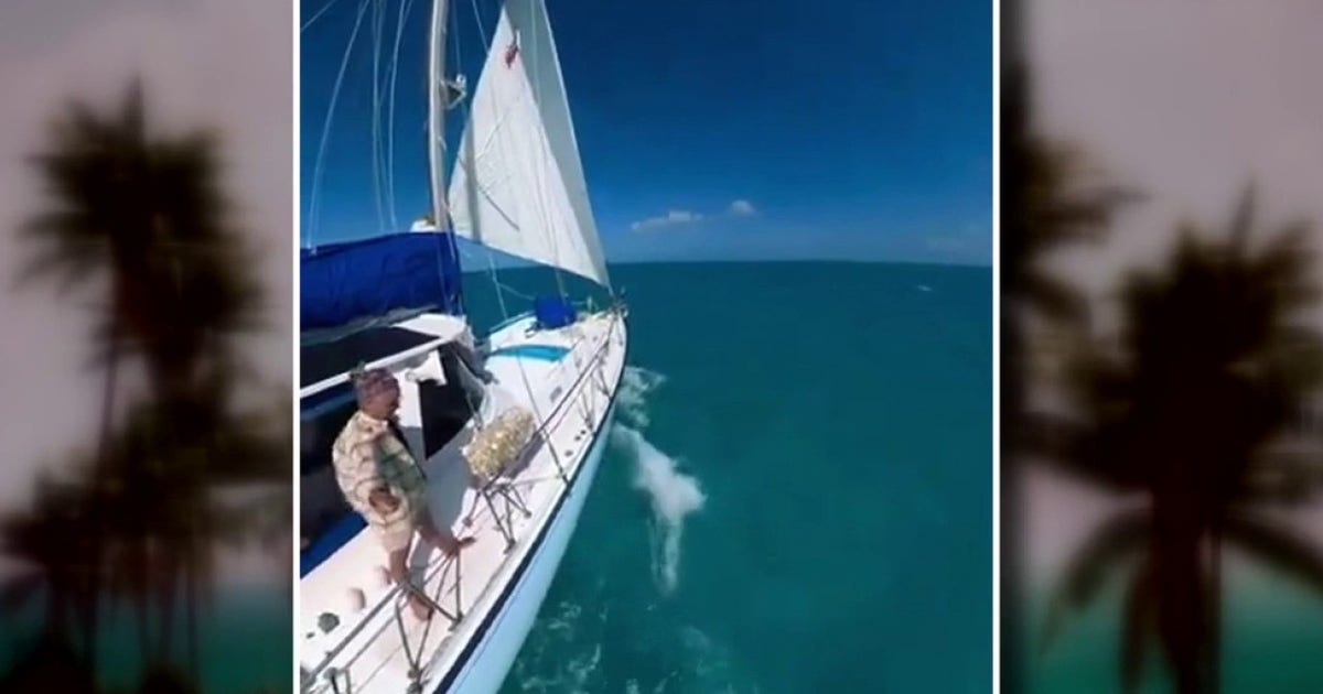 Daughter of Michigan woman lost at sea on Bahamas trip calls for investigation