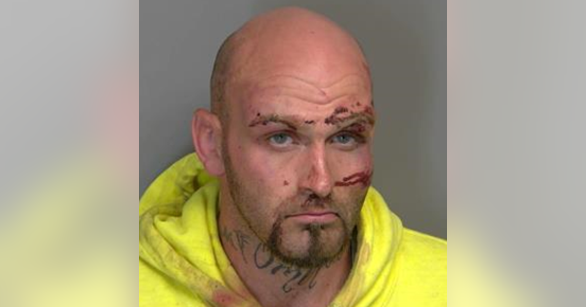 Eastpointe man sentenced for attempted screwdriver stabbing of police ...