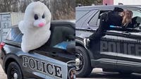 Grosse Ile police stage Easter Bunny escape inspired by viral Michigan arrest video
