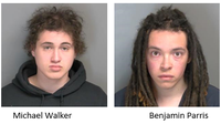 Two men accused of spray-painting swastikas on Sterling Heights fence arraigned in court