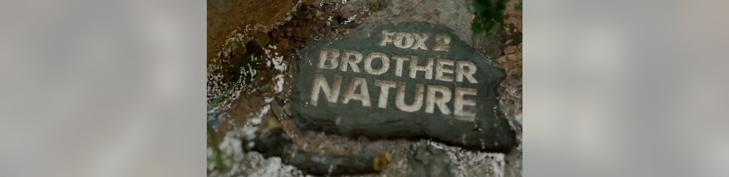 Brother Nature