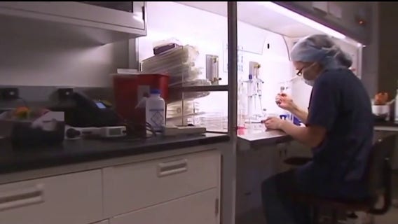 Proposed Michigan bill expected to make insurance pay for fertility, IVF costs