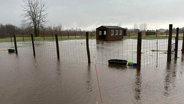 Detroit Animal Welfare Group seeks help after heavy rains lead to roof leak, flooding on Macomb County farm