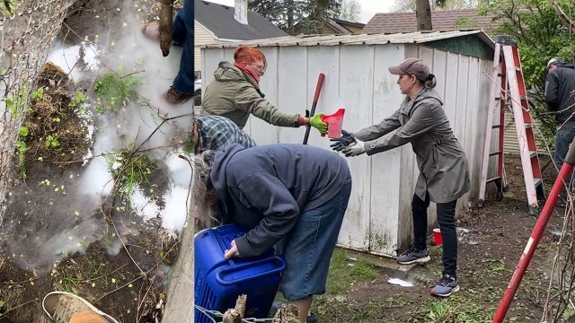 Hunting rodents with Ferndale's rat patrol