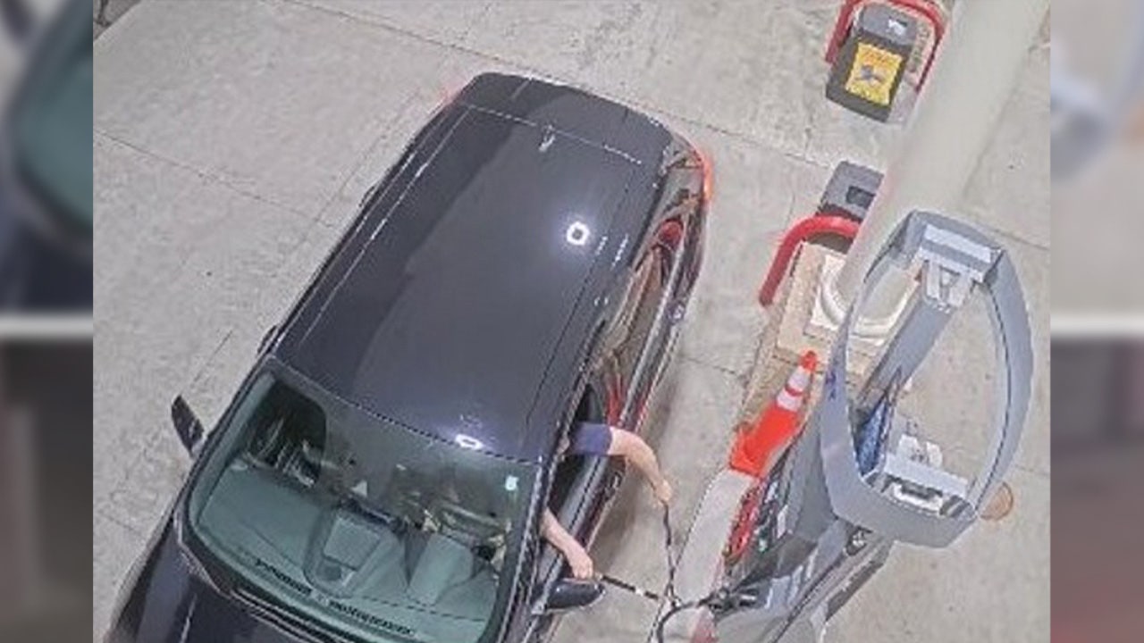 Man using garden loppers cuts gas station fuel line in Clinton Township