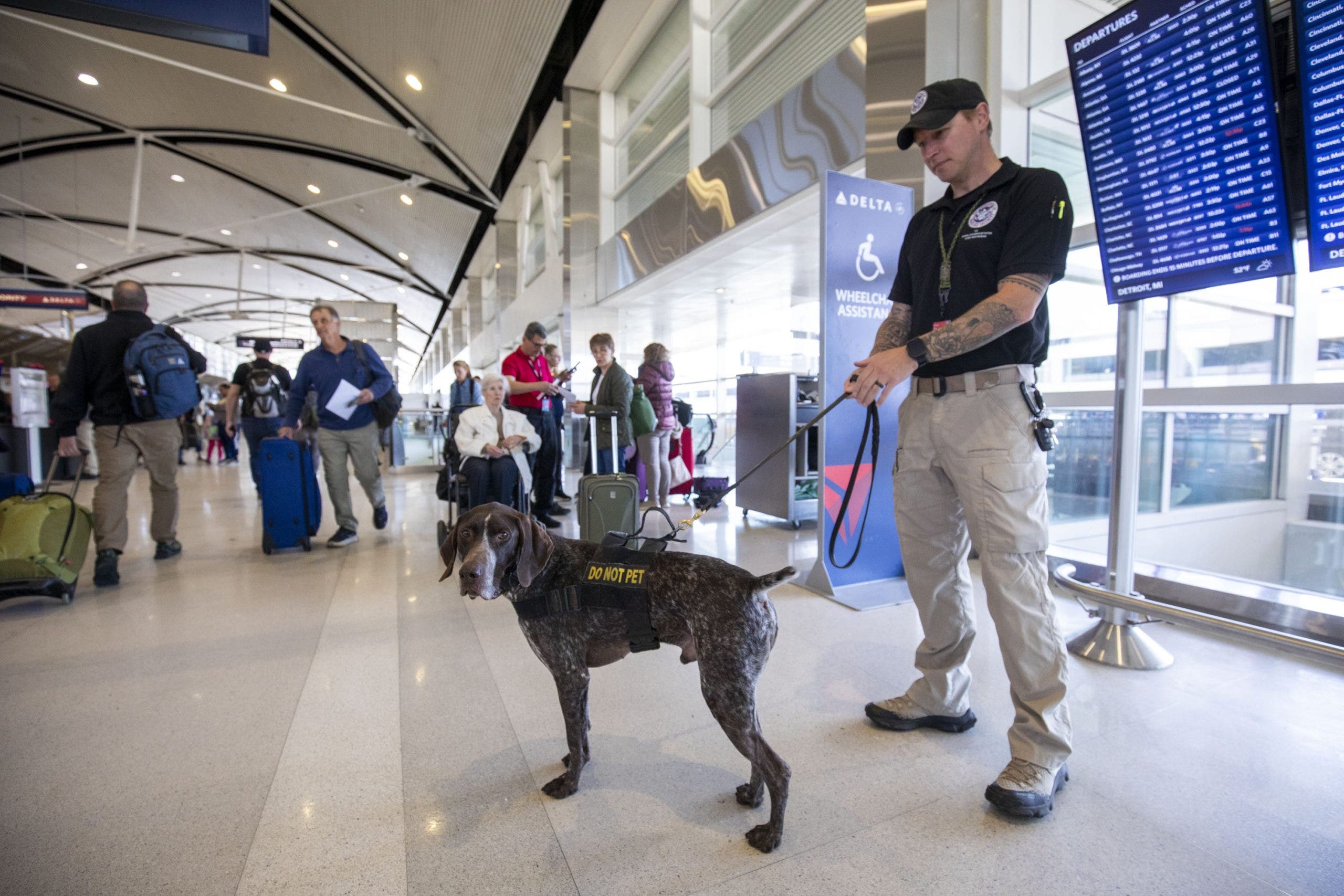 How the Ebola virus is spread - doctor explains travel risk