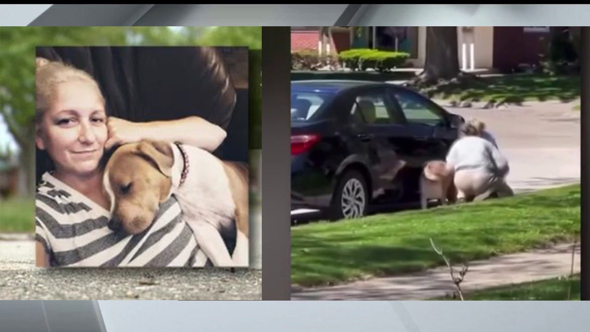 Video of pet sitter allegedly beating dog sparks Warren police investigation