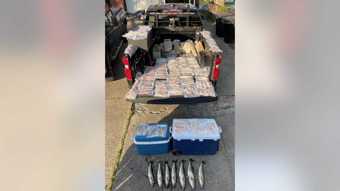 Northern Michigan residents caught with double the legal limit of walleye during Detroit fishing trip