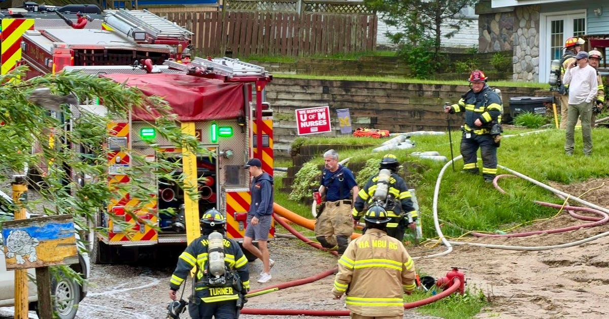 Two cats, dog, rescued in Green Oak Township basement fire