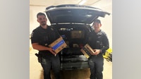 Flat Rock police finish Amazon delivery route after driver quits