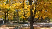 Interlochen Center for the Arts to tear down lodge once named for Jeffrey Epstein