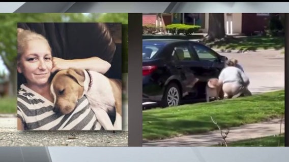Video of pet sitter allegedly beating dog sparks Warren police investigation