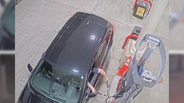 Man using garden loppers cuts gas station fuel line in Clinton Township