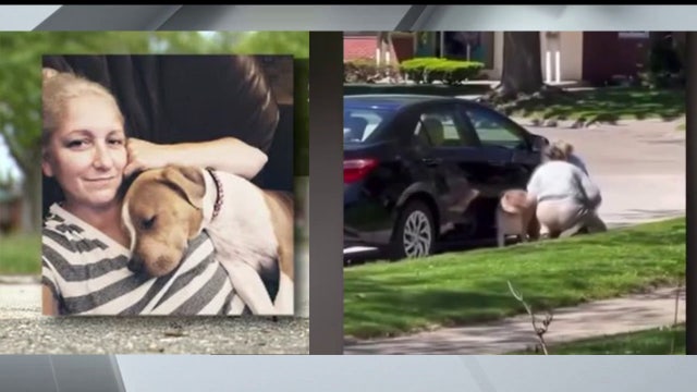 Video of pet sitter allegedly beating dog sparks Warren police investigation