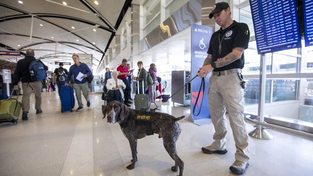 How the Ebola virus is spread - doctor explains travel risk