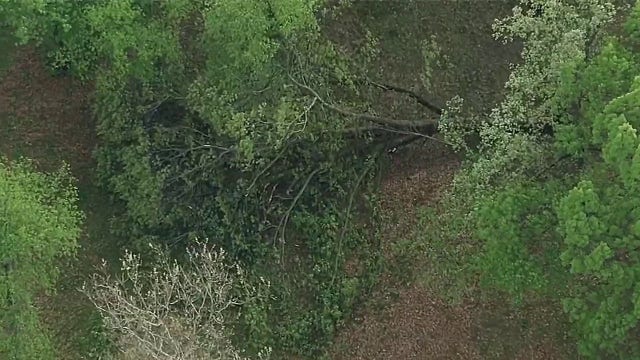 Huron-Clinton Metroparks closes two parks for storm damage