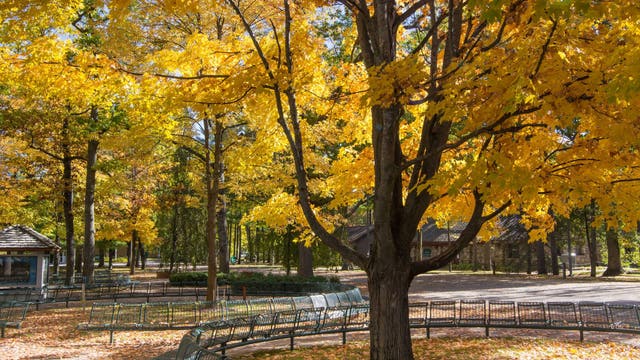 Interlochen Center for the Arts to tear down lodge once named for Jeffrey Epstein