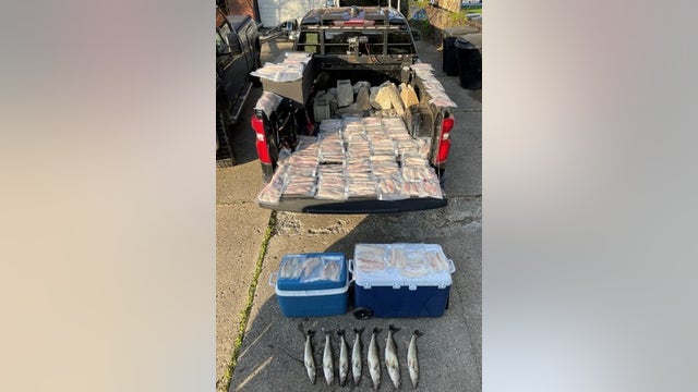 Northern Michigan residents caught with double the legal limit of walleye during Detroit fishing trip