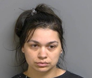 Mount Clemens woman sentenced for distributing child sexually abusive material
