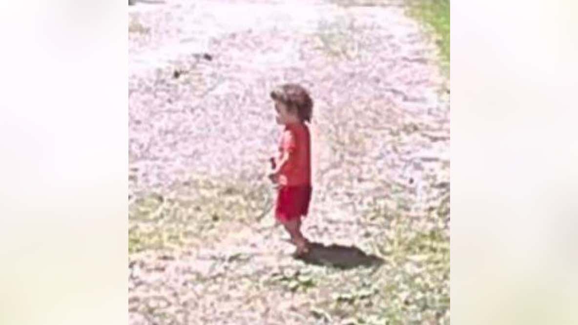 Holly 2-year-old found safe after parents denied child seen on doorbell camera was theirs
