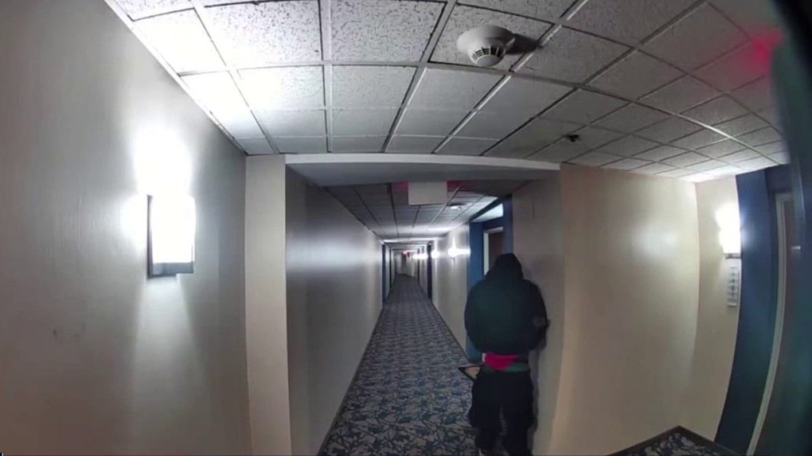 Residents at Millie on Brush in Detroit alarmed over rat infestation and safety concerns