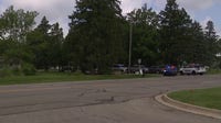 Grandson accused of murdering grandmother in Farmington Hills