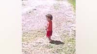 Holly 2-year-old found safe after parents denied child seen on doorbell camera was theirs