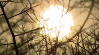 How extreme heat can have a dangerous impact on the body