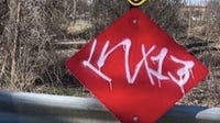 Ypsilanti little league fields damaged by vandals with graffiti